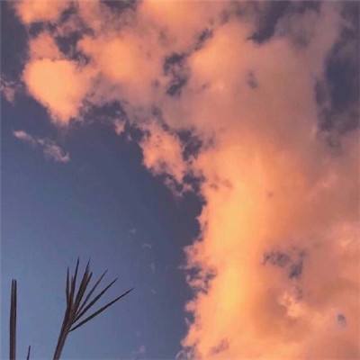 嗨西游内购破解版下载