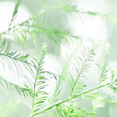 得了肾结石，能吃钙片吗？真相出乎意料