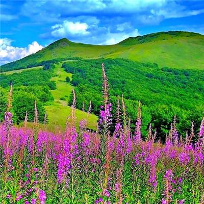 重启之地藏归来最新版(暂未上线)v1.9.6 安卓版